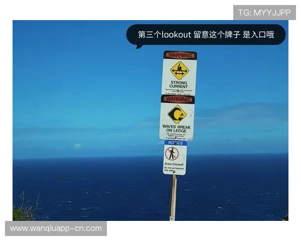 玩球返水怎么算避坑指南极速提现不踩坑 玩球返水怎么算避坑指南极速提现不踩坑